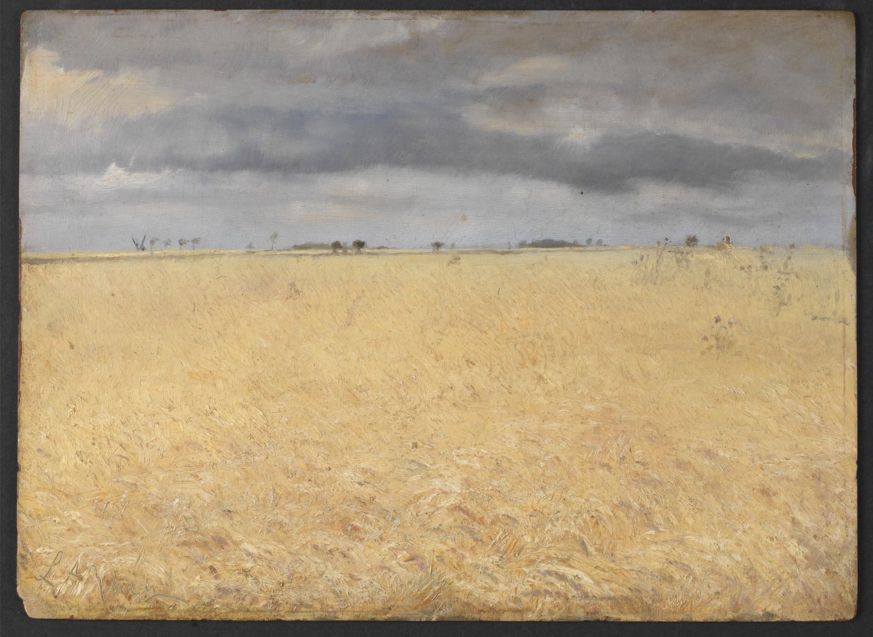 En rugmark nær Ringlandsby af Laurits Andersen Ring
