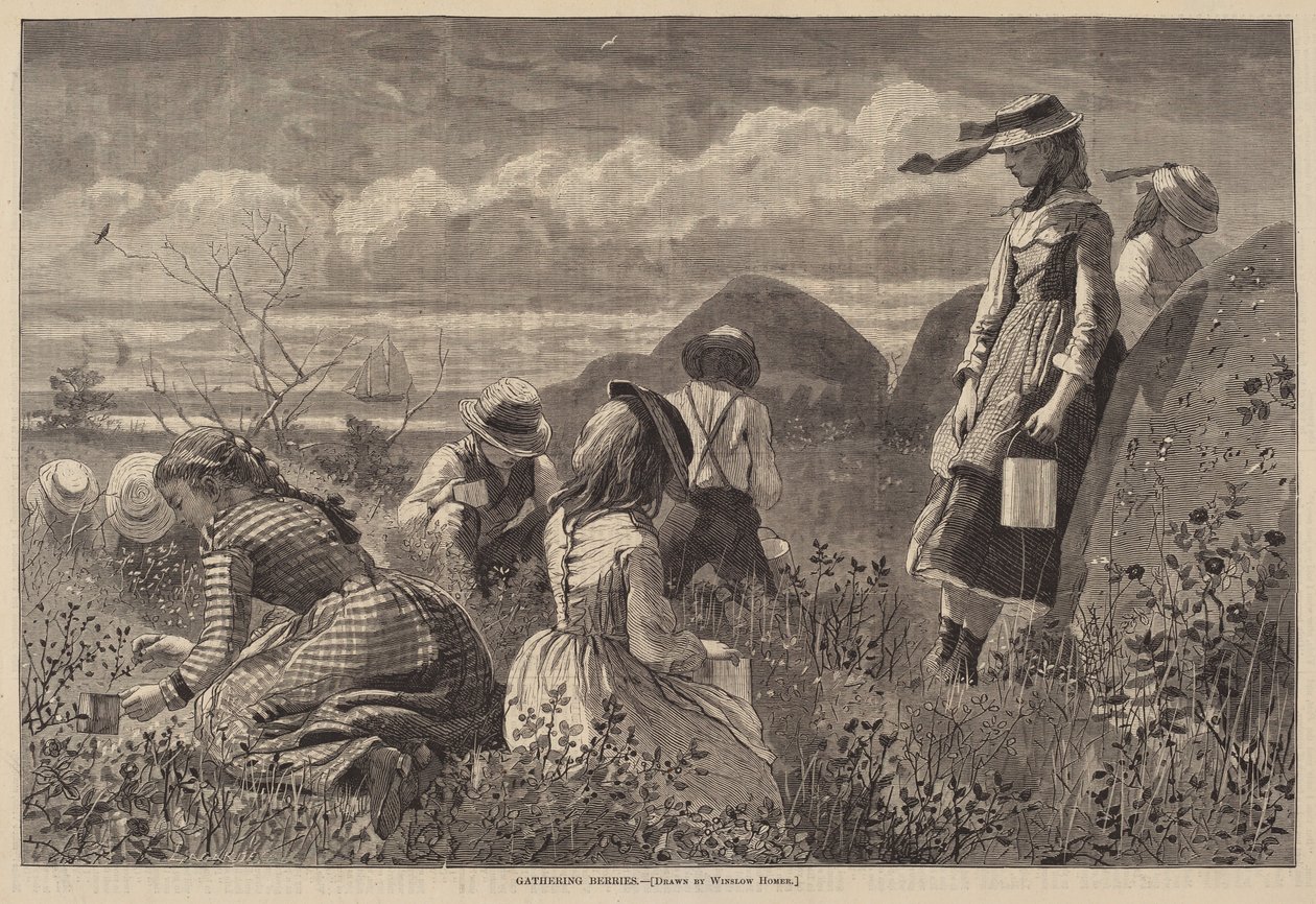 Indsamling af bær af Lagarde after Winslow Homer