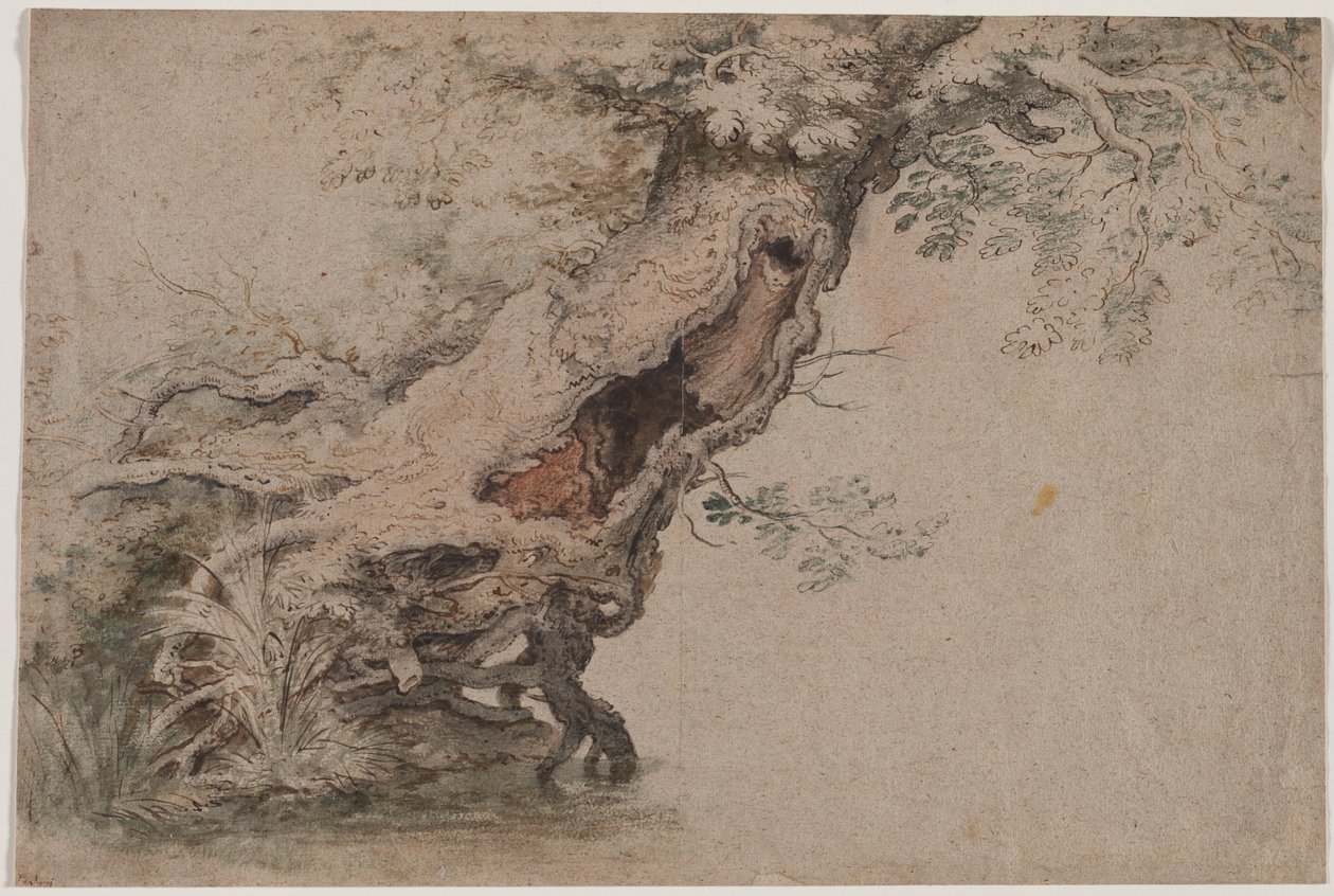 Hollow Tree, efter Roelant Savery, efter 1670. af Lambert Doomer
