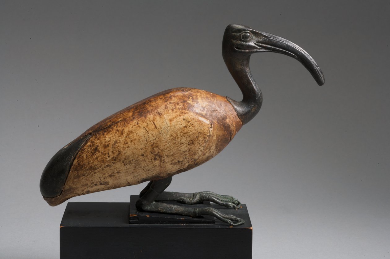 Ibis (bronze og træ) af Late Period Egyptian