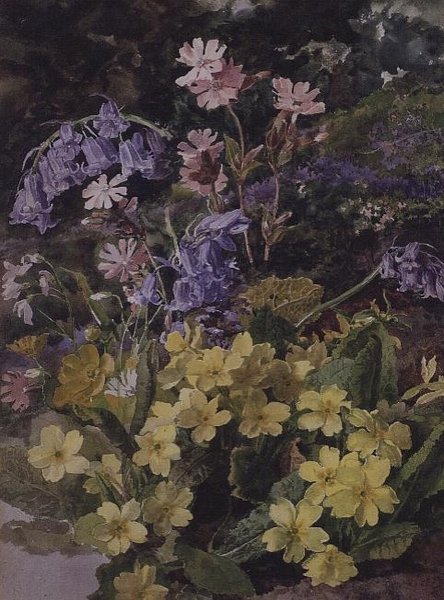 Studie af blomster af Laura Darcy Strutt