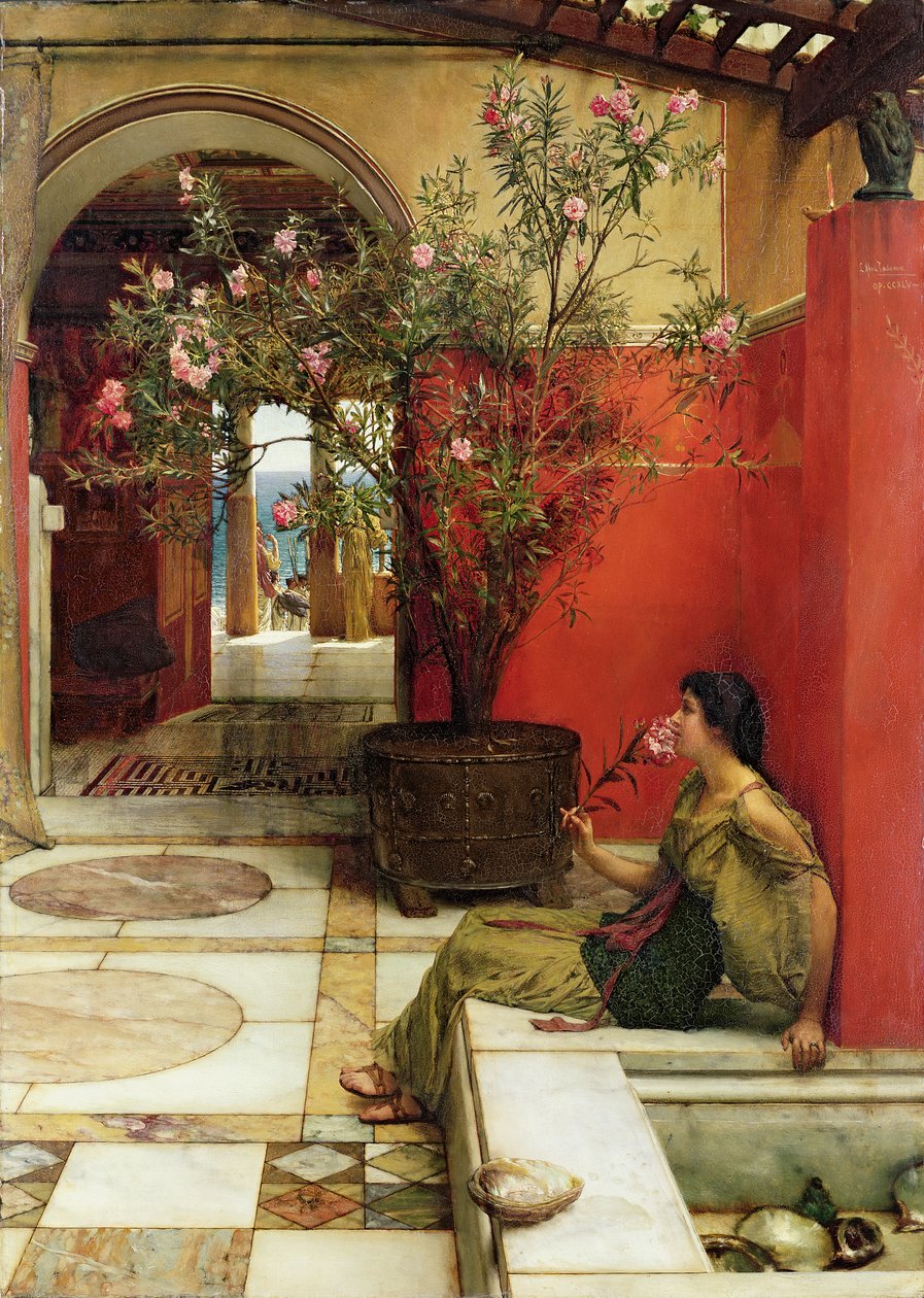 En oliestjerne, 1882 af Lawrence Alma Tadema