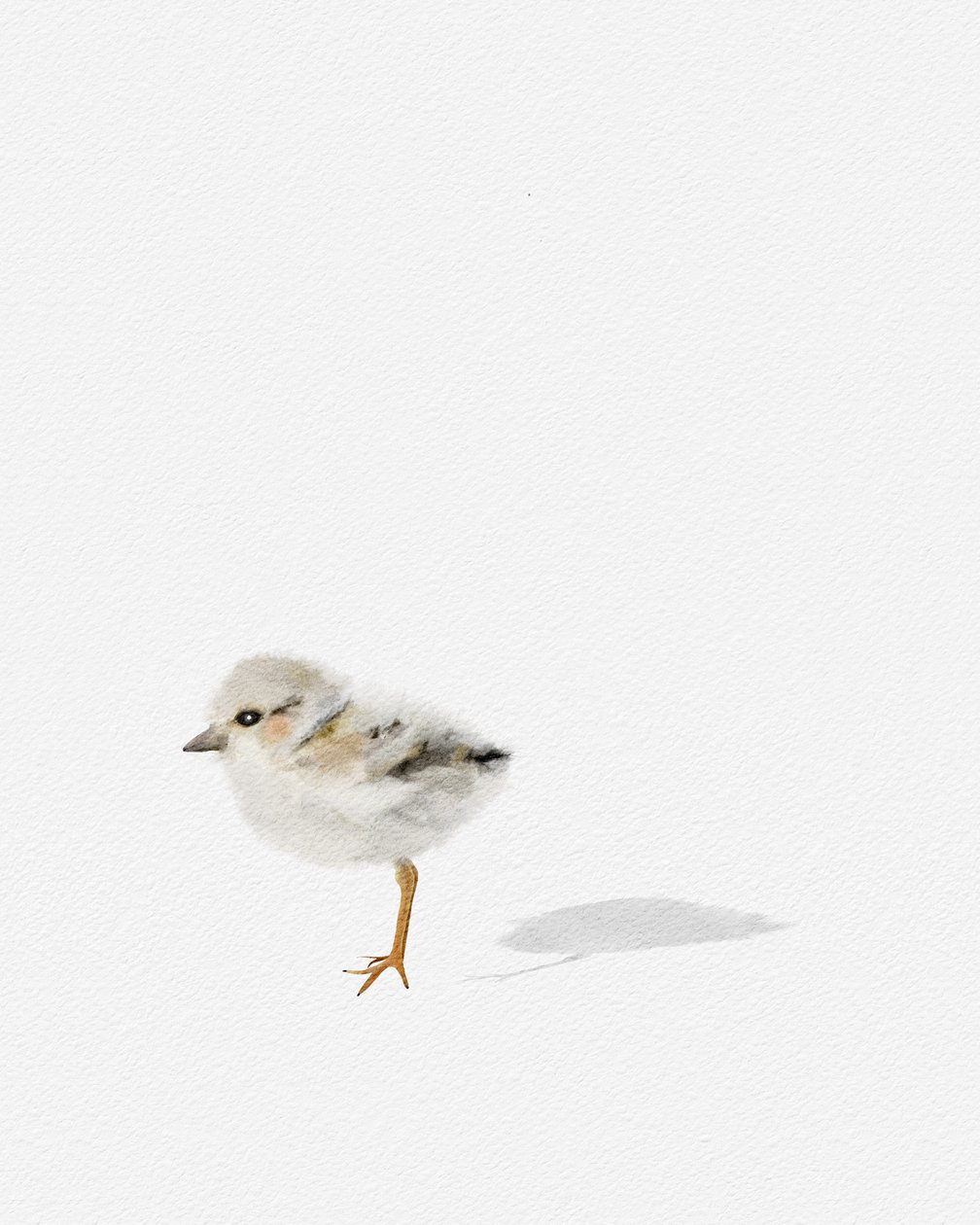 Strandfugl, ca. 2021 (blandede medier) af Leah Straatsma