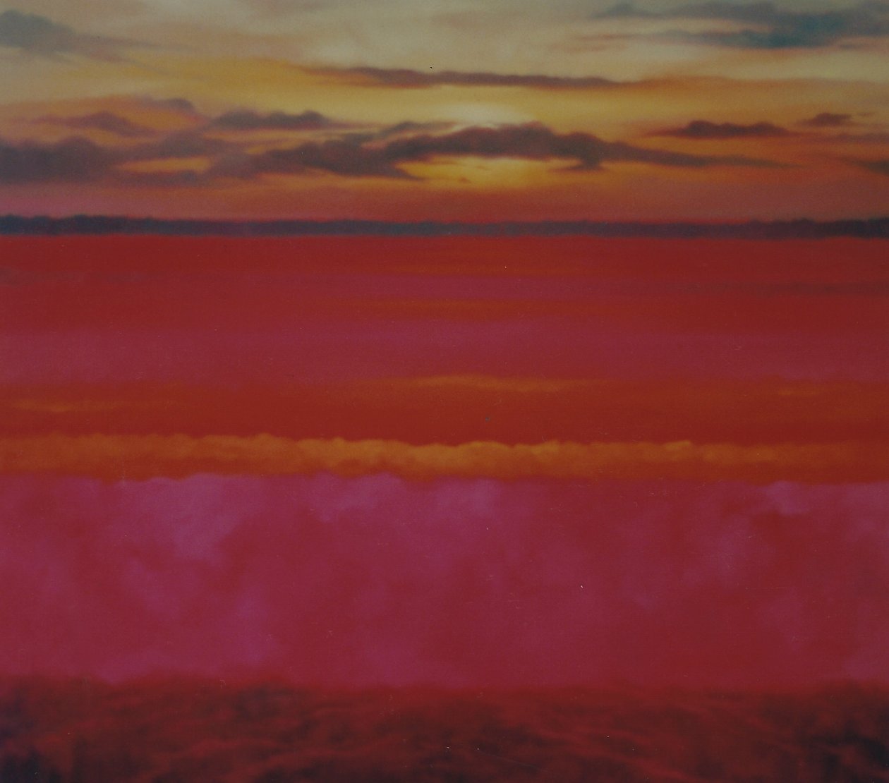 Glowing Sunrise, 2004 olie på lærred Sky and Pink Abstract Landscape af Lee Campbell