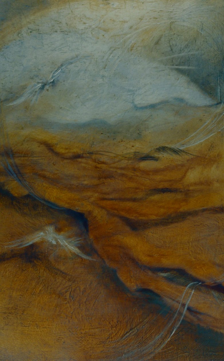 Substratum, 1996 af Lee Campbell