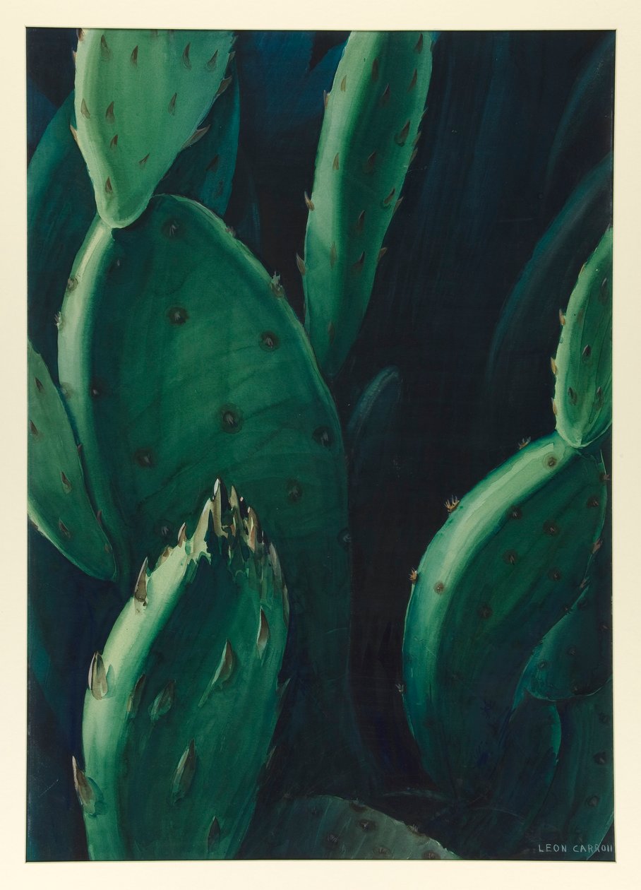 Emeralds (kaktus) af Leon Carroll