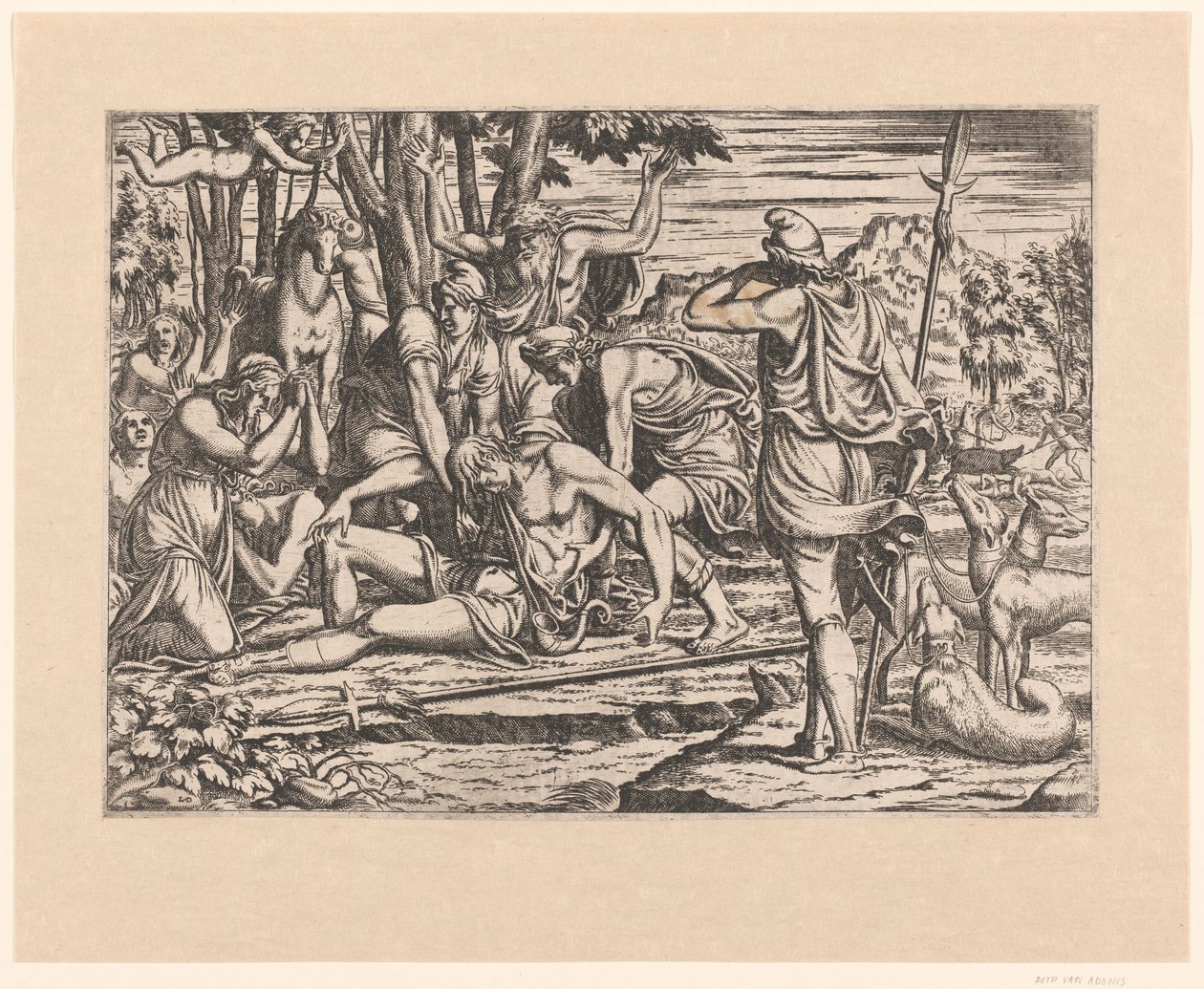 Adonis død af Leon Davent