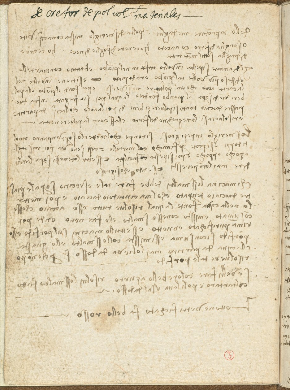 Fugleflyvningskode, ca. 1505-06, papirmanuskript, cc. 18, Omslag II af Leonardo da Vinci