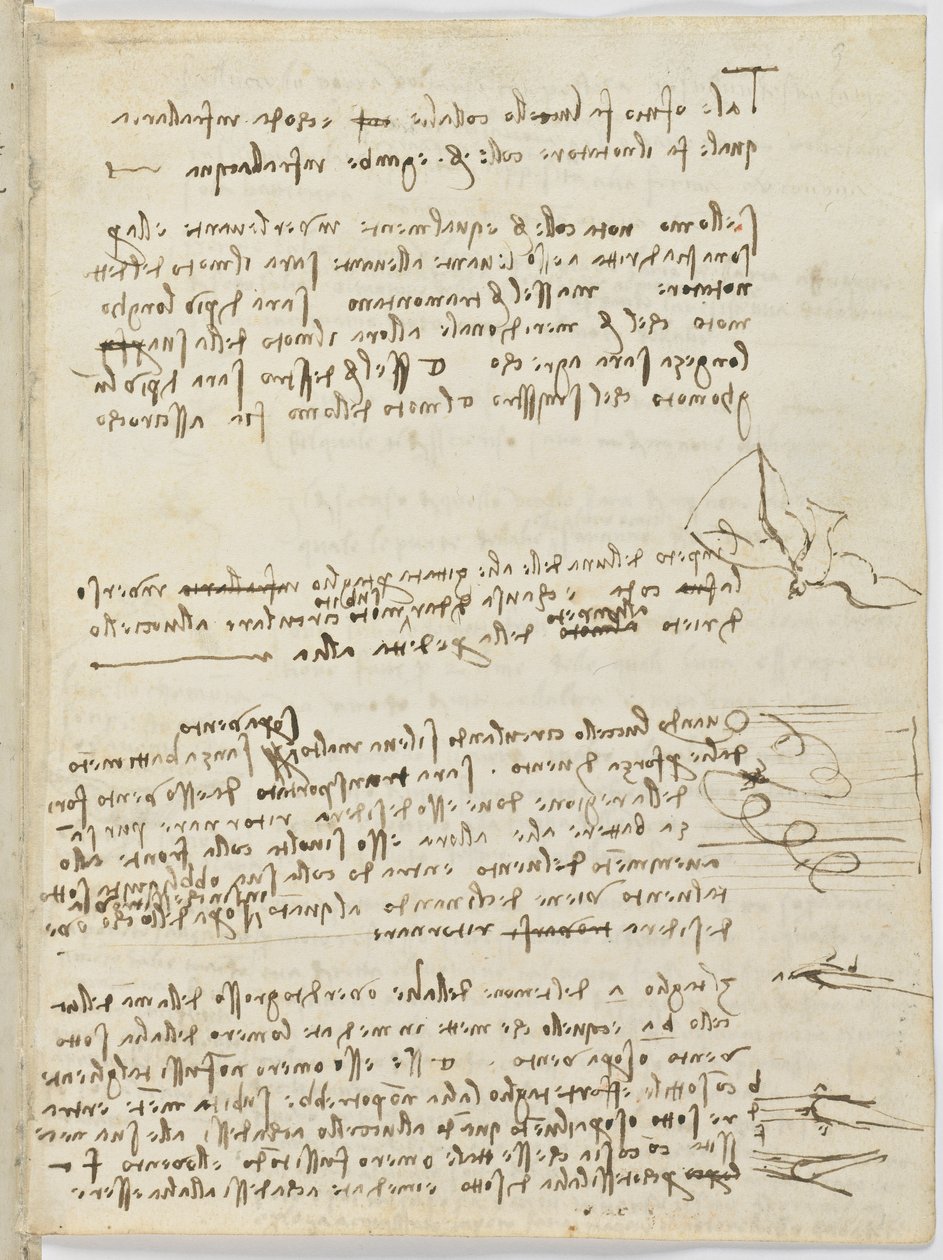 Fugleflyvningskode, ca. 1505-06, papirmanuskript, cc. 18, ark 10 recto af Leonardo da Vinci