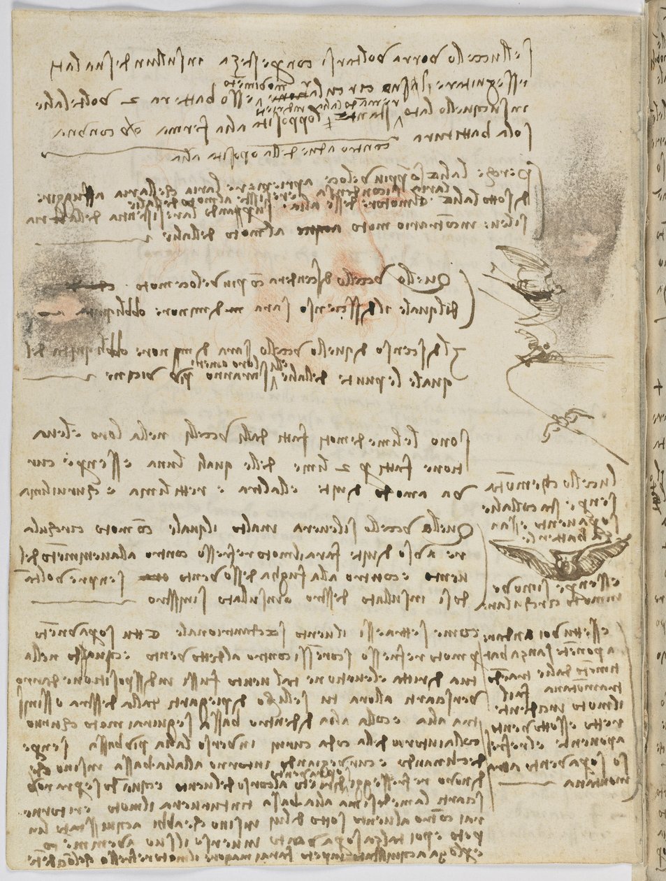 Fugleflyvningskode, ca. 1505-06, papirmanuskript, cc. 18, ark 10 verso af Leonardo da Vinci