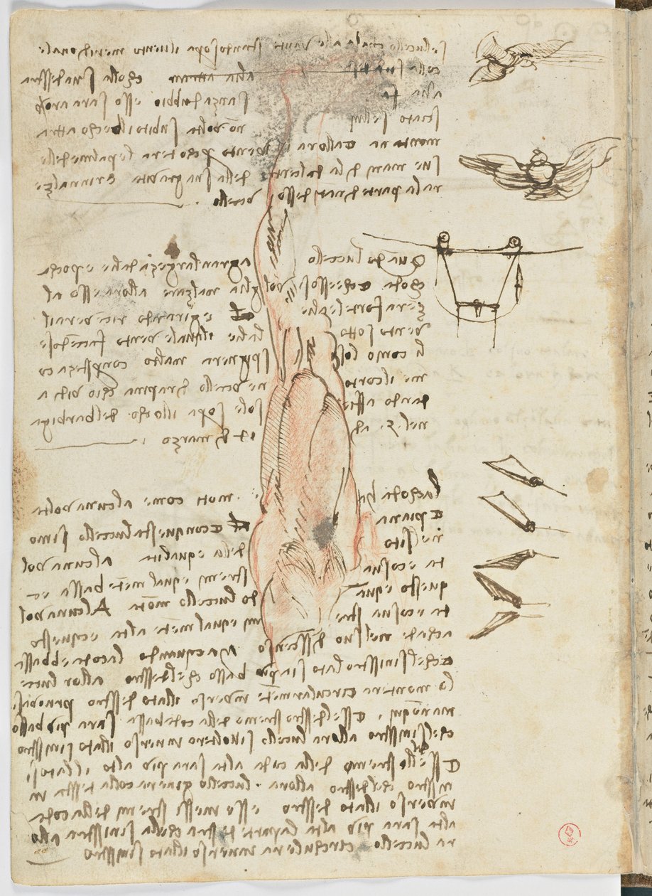 Fuglenes flyvekodeks, ca. 1505-06, papirmanuskript, cc. 18, ark 17 verso af Leonardo da Vinci