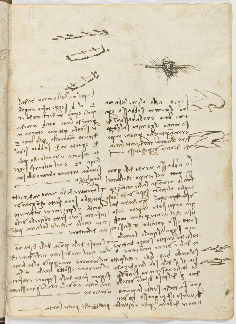 Fugleflyvningskode, ca. 1505-06, papirmanuskript, cc. 18, ark 18 recto af Leonardo da Vinci