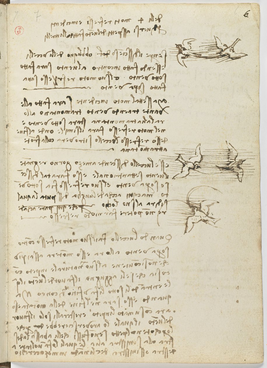 Fugleflyvningskode, ca. 1505-06, papirmanuskript, cc. 18, ark 6 recto af Leonardo da Vinci