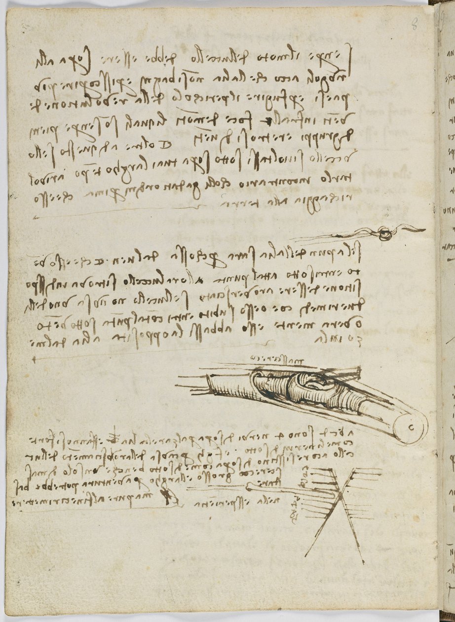 Fugleflyvningskode, ca. 1505-06, papirmanuskript, cc. 18, ark 6 verso af Leonardo da Vinci