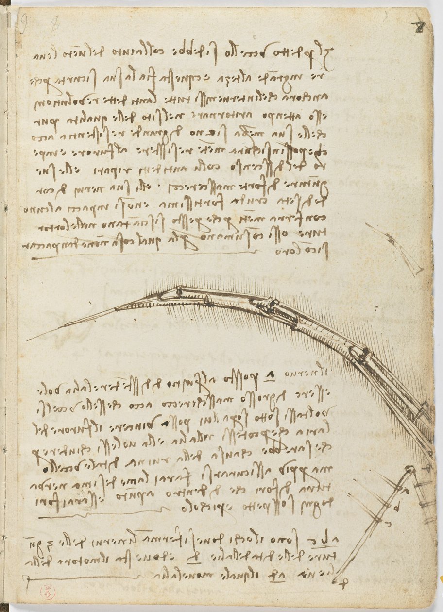 Fugleflyvningskode, ca. 1505-06, papirmanuskript, cc. 18, ark 7 recto af Leonardo da Vinci
