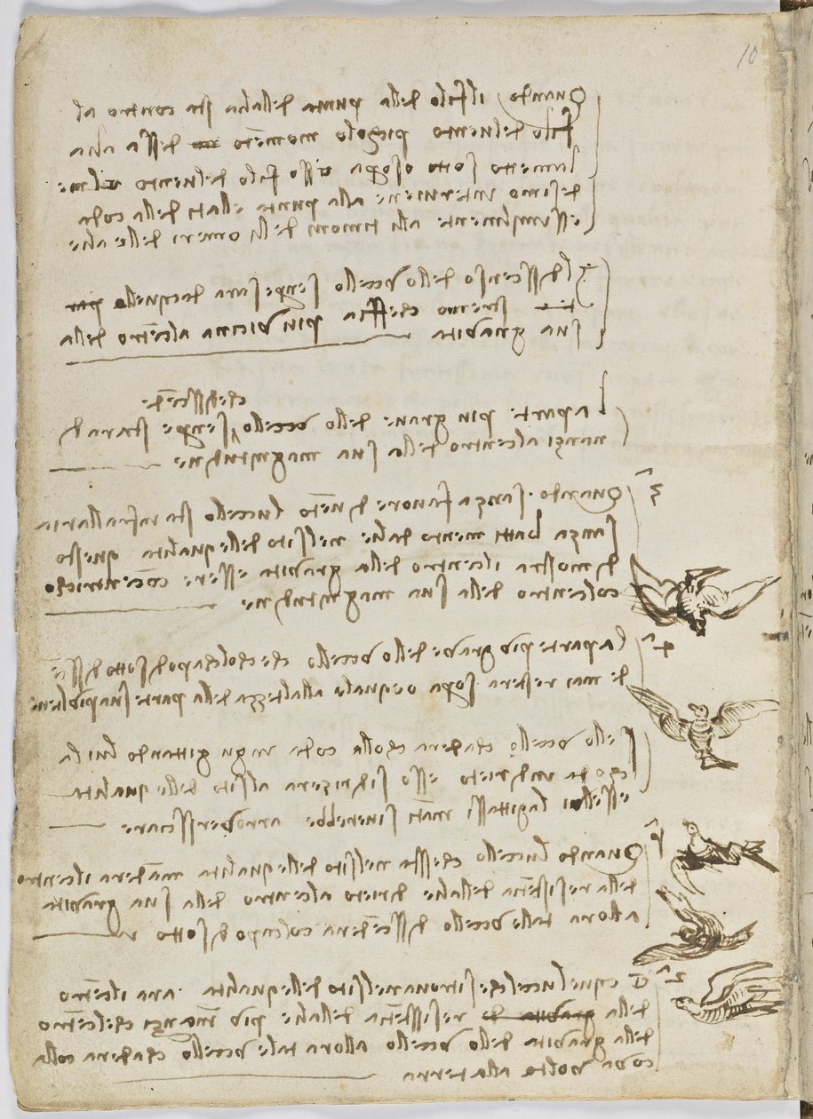 Fugleflyvningskode, ca. 1505-06, papirmanuskript, cc. 18, ark 7 verso af Leonardo da Vinci