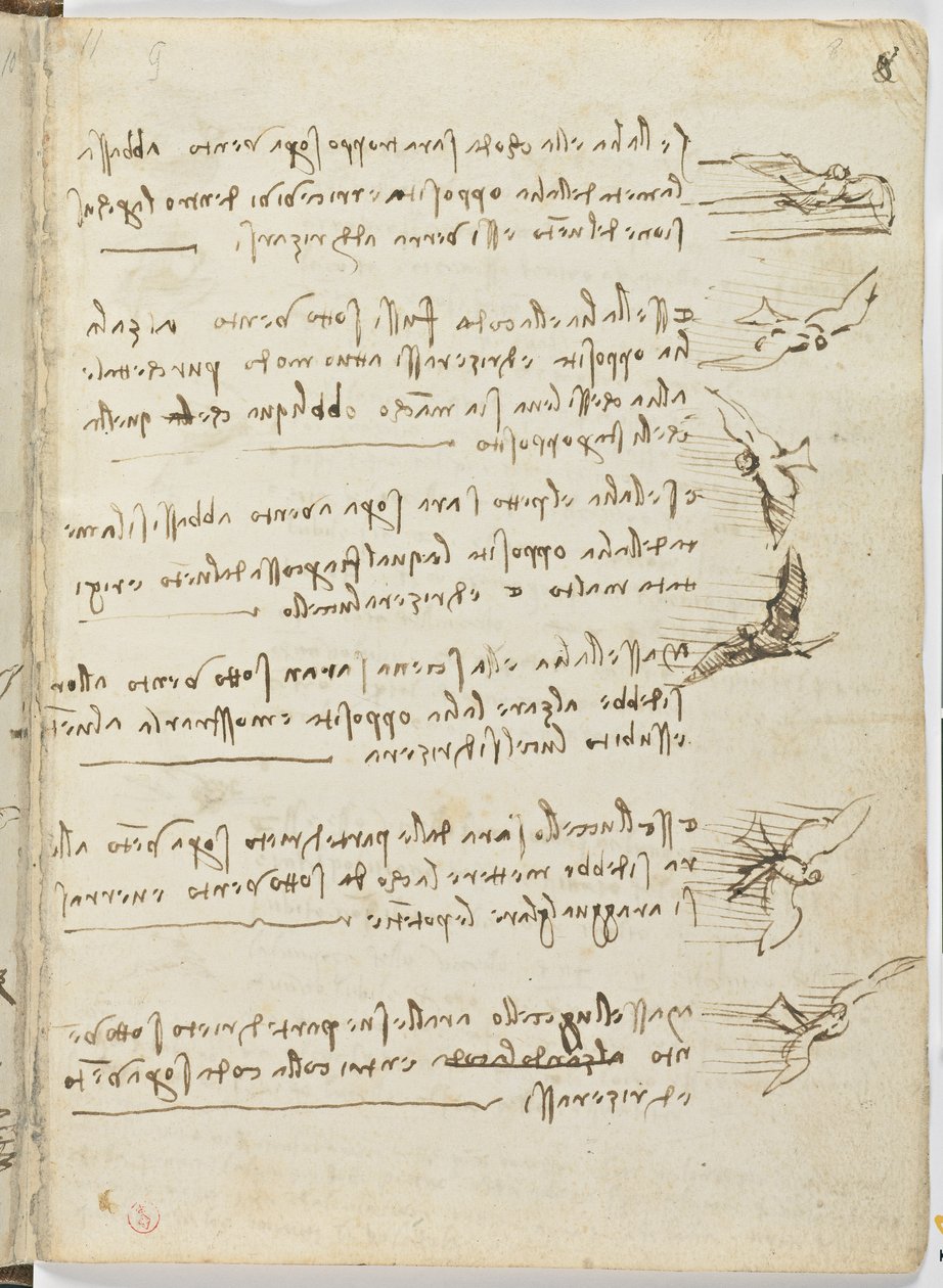 Fugleflyvningskode, ca. 1505-06, papirmanuskript, cc. 18, ark 8 recto af Leonardo da Vinci