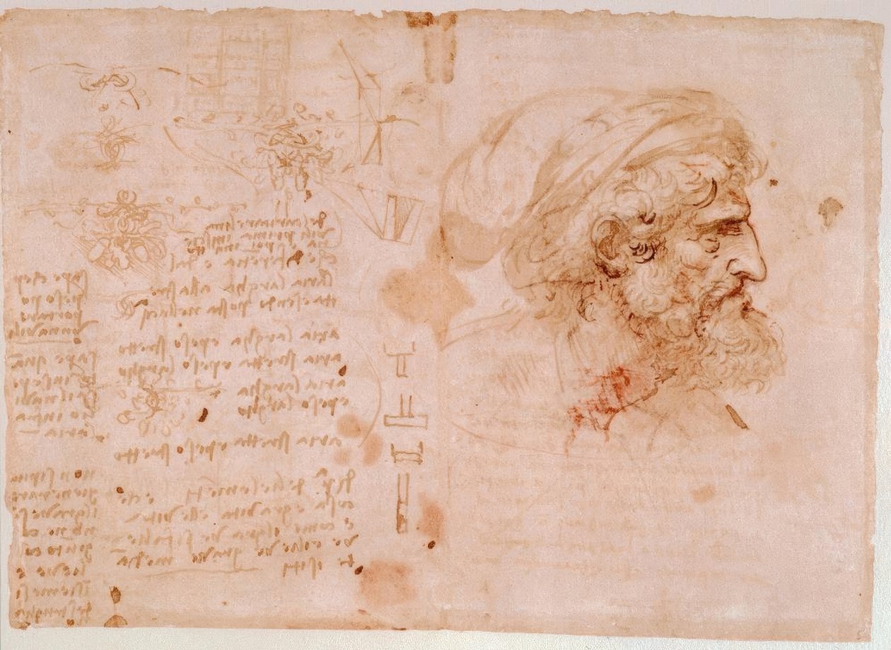 Bladornamentstudier / profilportræt af en gammel mand ... af Leonardo da Vinci