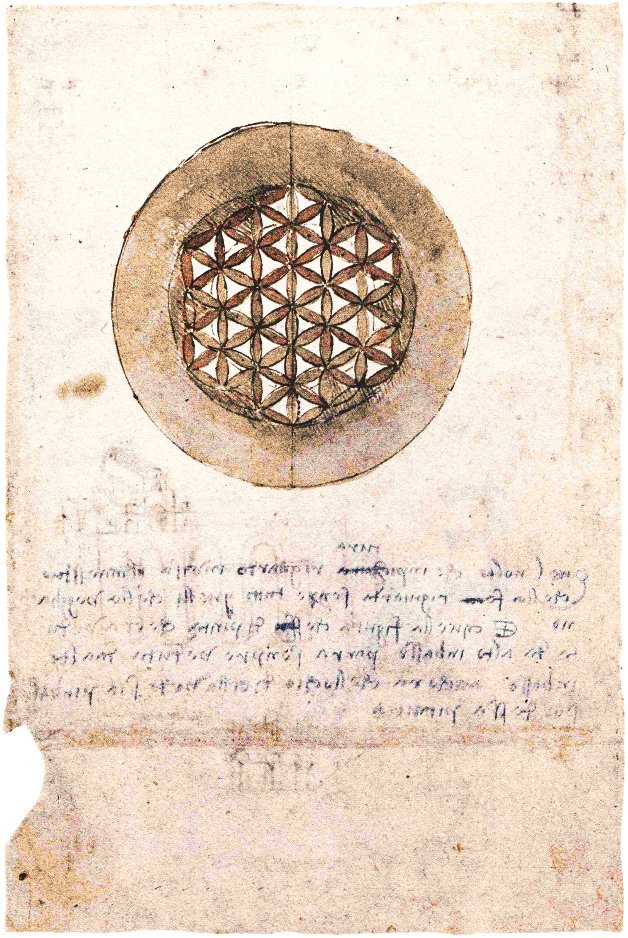 Codex Atlanticus folio 309v af Leonardo da Vinci