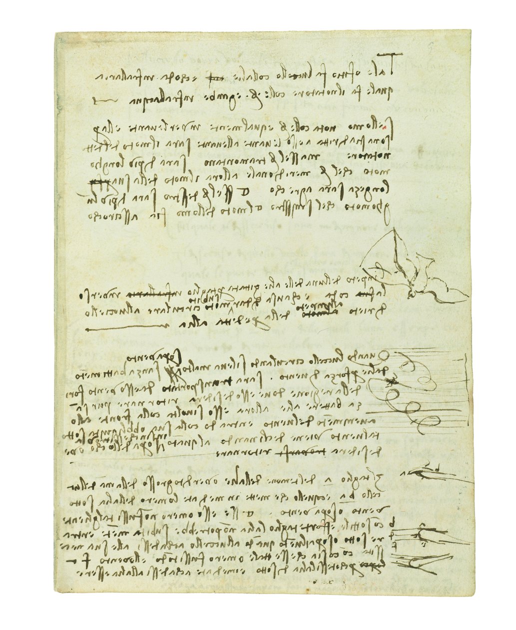 Codex på fugleflyvning, Folio 10 recto af Leonardo da Vinci