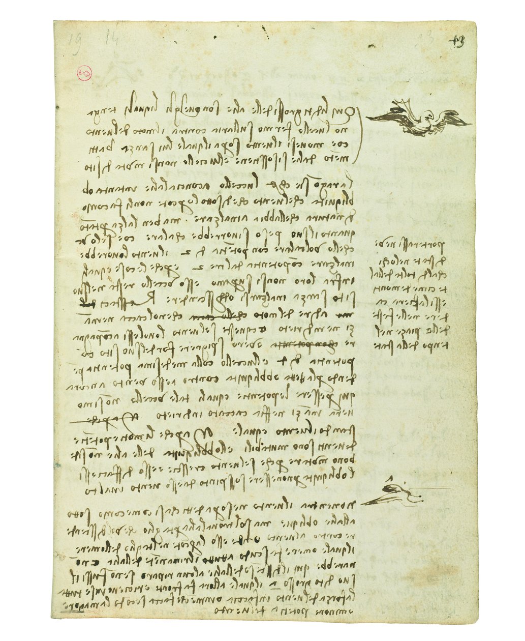 Codex på fugleflyvning, Folio 13 recto af Leonardo da Vinci