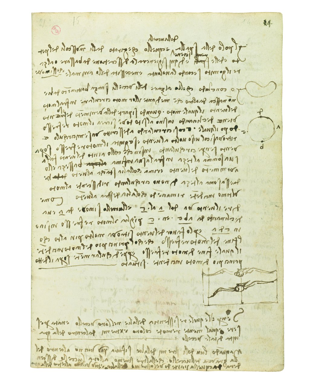 Codex om fugleflyvning, Folio 14 recto af Leonardo da Vinci