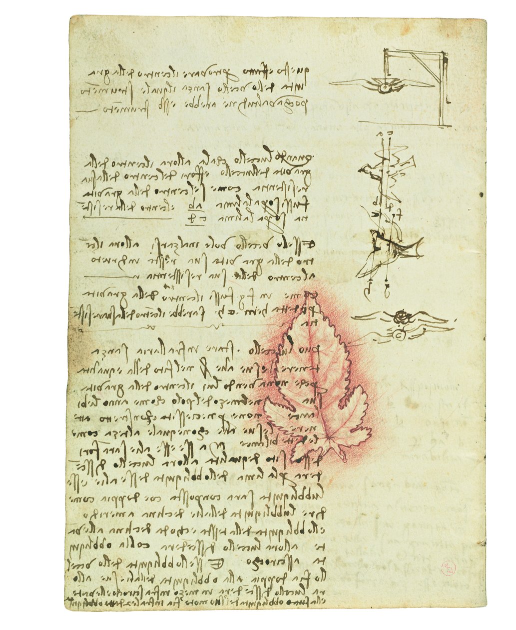 Codex om fugleflyvning, Folio 15 verso af Leonardo da Vinci