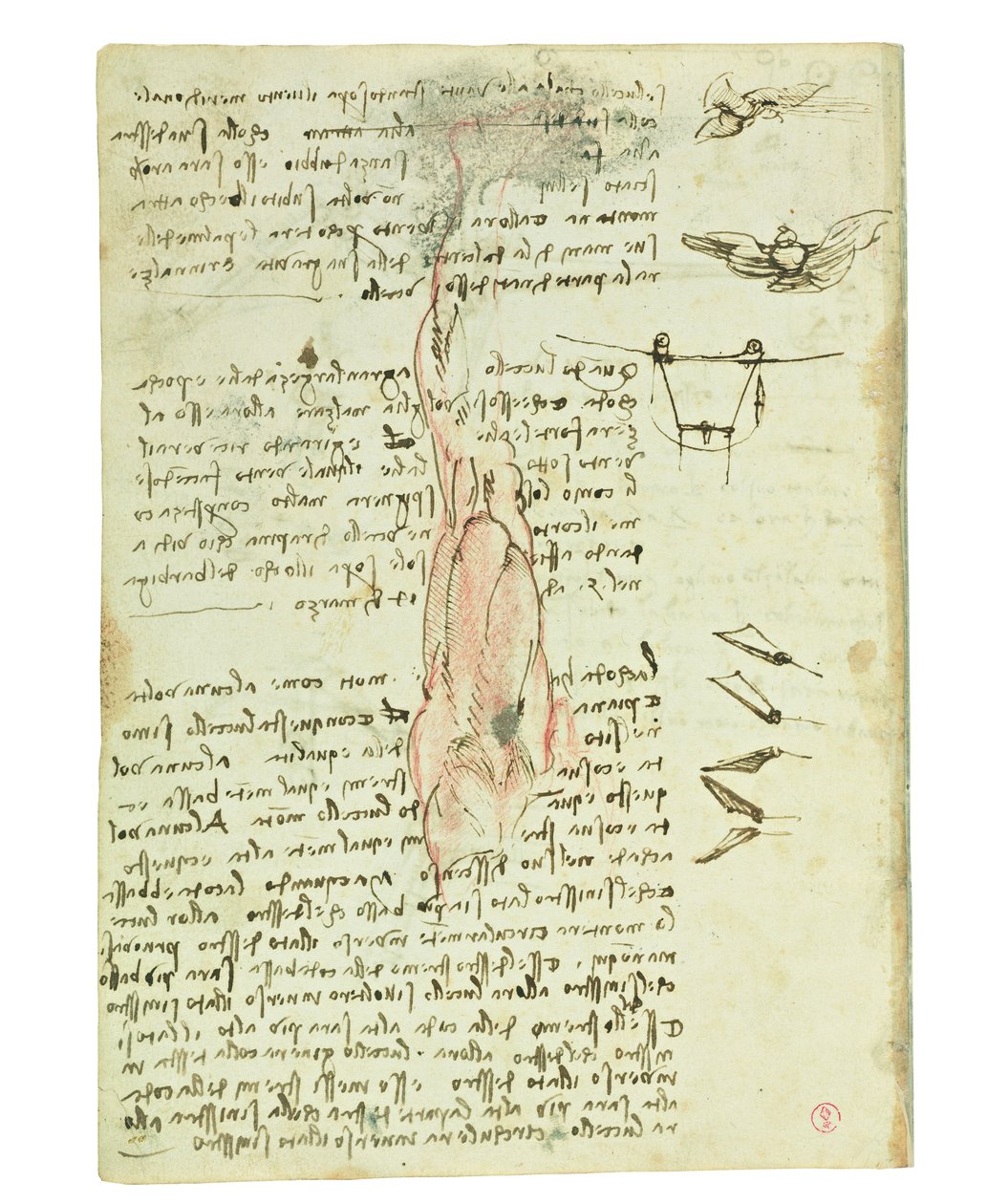 Codex om fugleflyvning, Folio 17 verso af Leonardo da Vinci