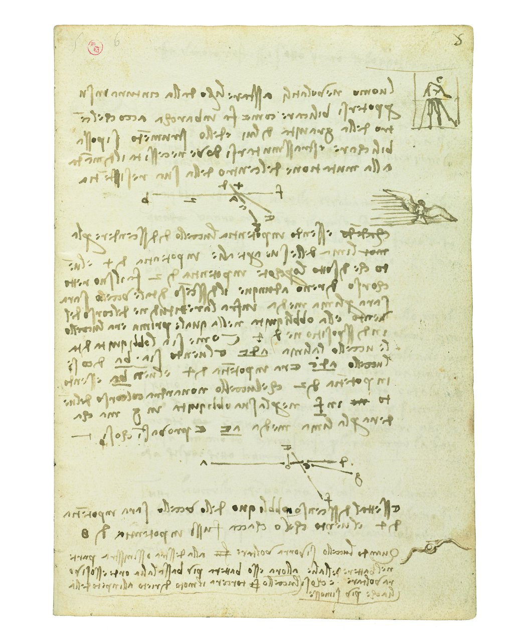 Codex på fugleflyvning, Folio 5 recto af Leonardo da Vinci