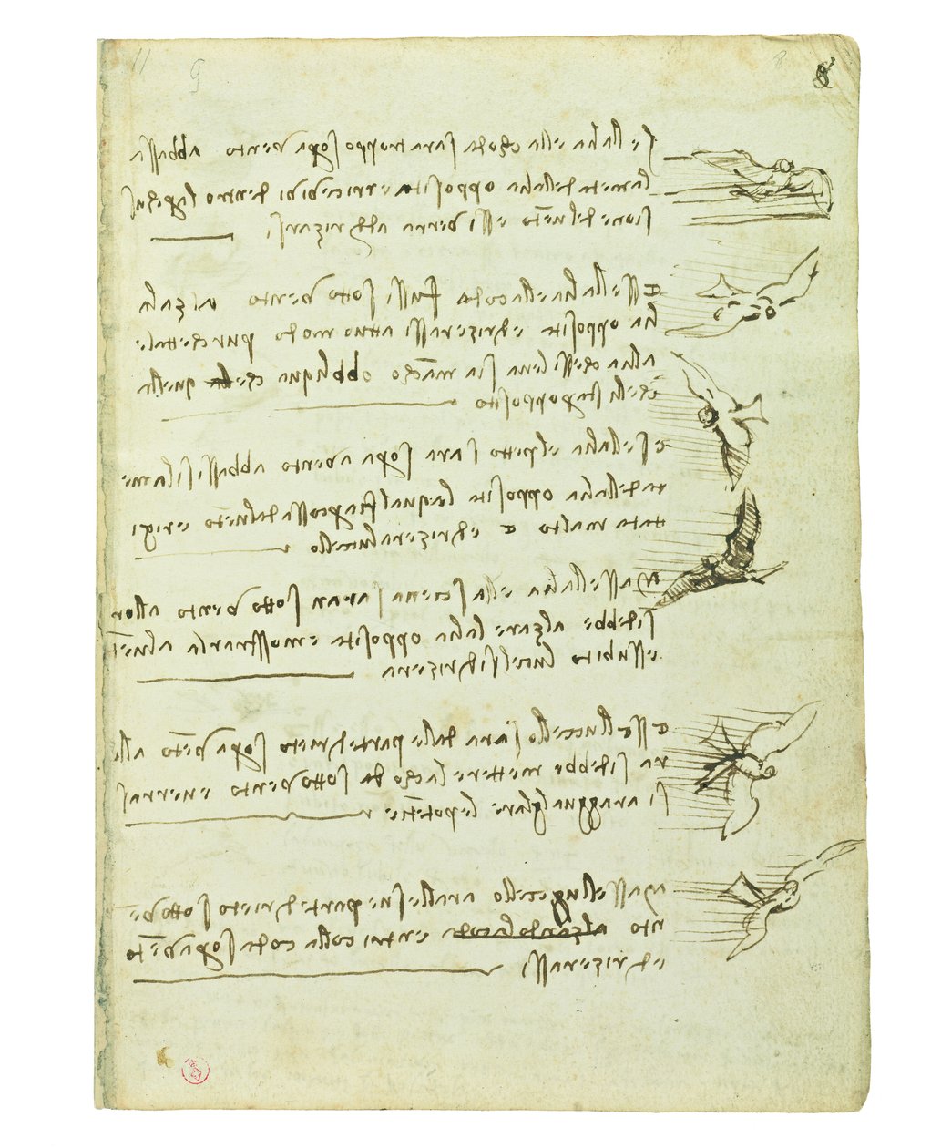 Codex om fugleflyvning, Folio 8 recto af Leonardo da Vinci