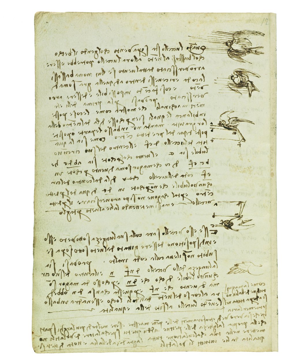 Codex om fugleflyvning, Folio 8 verso af Leonardo da Vinci