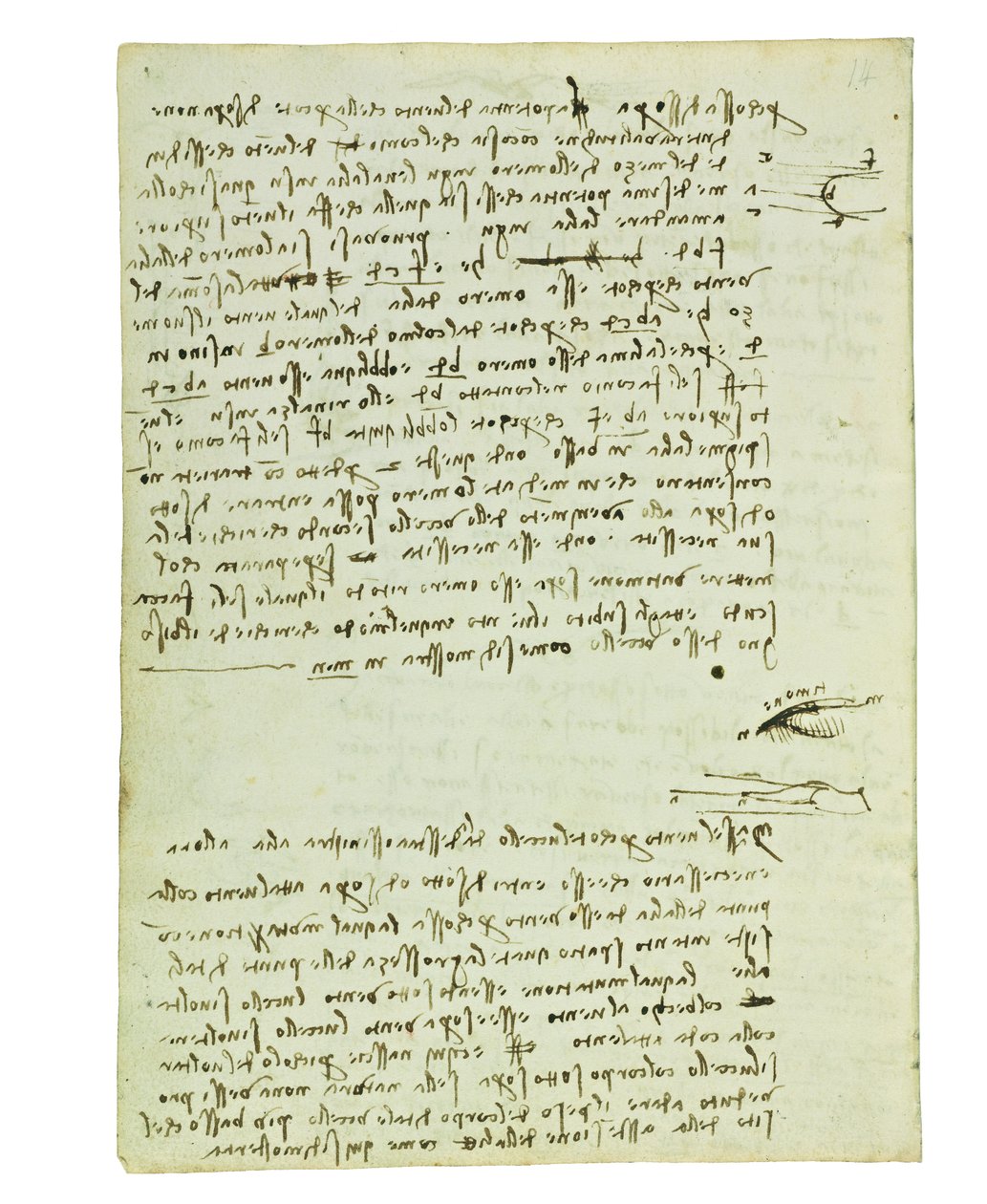 Codex om fugleflyvning, Folio 9 verso af Leonardo da Vinci