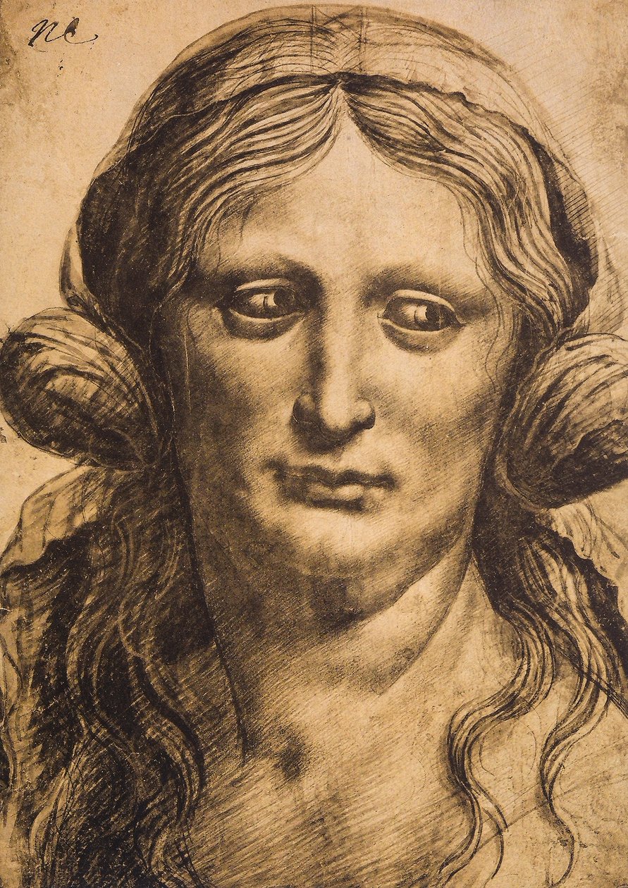 Kvindeportræt; tegning af Leonardo da Vinci. Louvre, Paris af Leonardo da Vinci