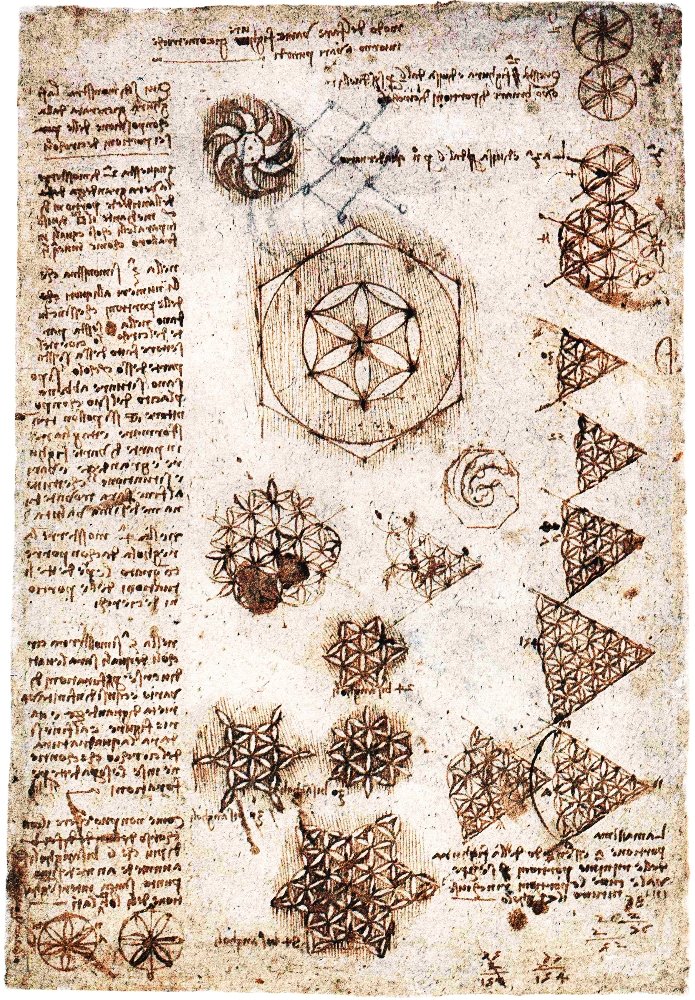 Livets blomst af Leonardo da Vinci