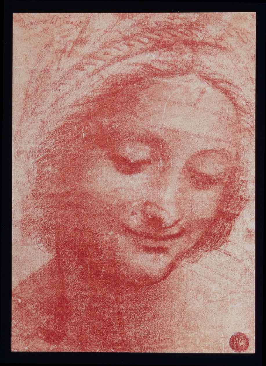 Head of a Woman (kul på papir) af Leonardo da Vinci