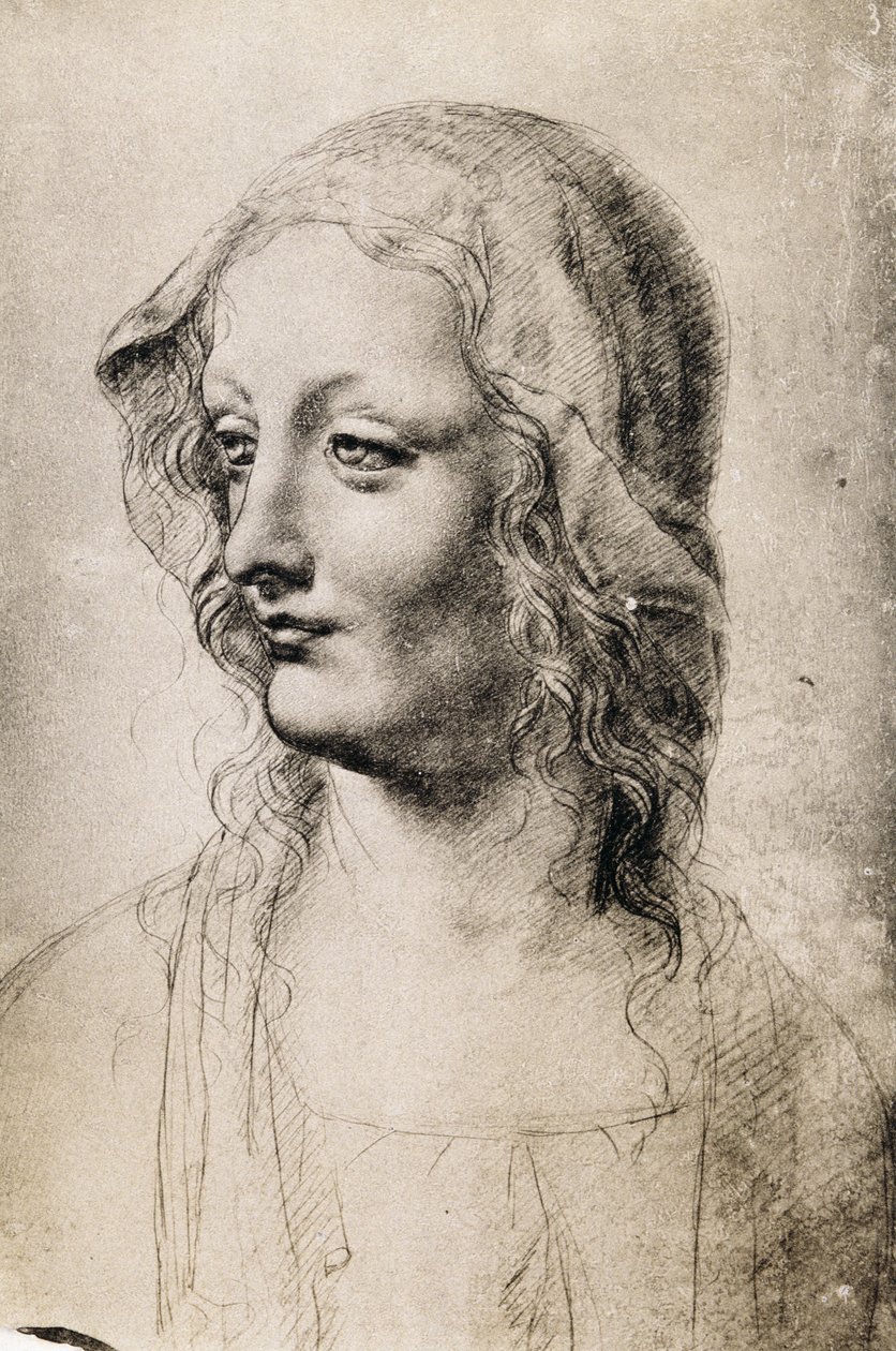 Head of a Young Woman (kul på papir) af Leonardo da Vinci