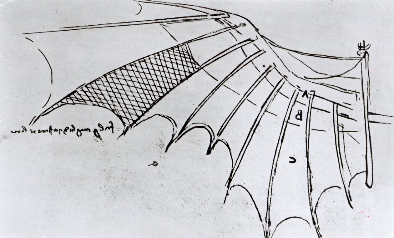 M S B 2173 fol. 74r Studier af vingeartikulation, 1487-90 af Leonardo da Vinci