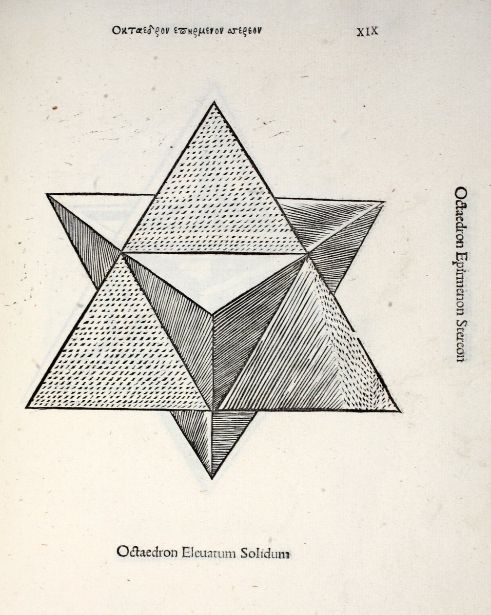 Octocedron solidus, illustration fra 
