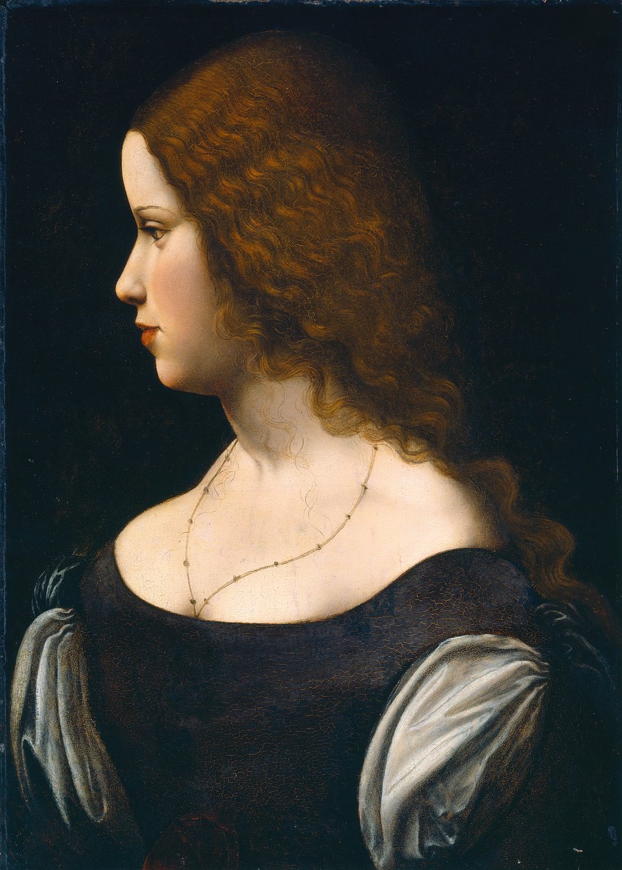 Portræt af en ung dame af Leonardo da Vinci
