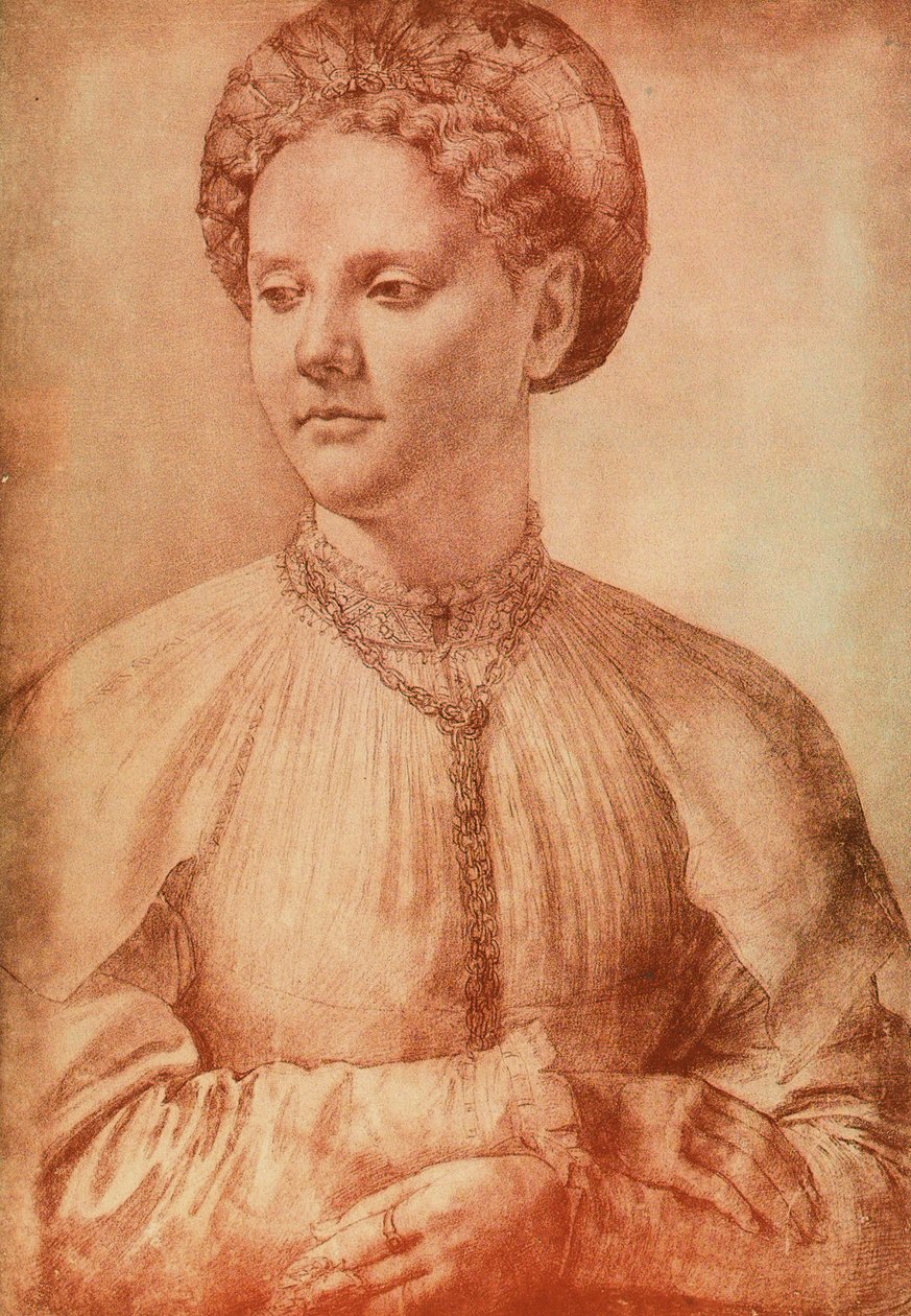 Portræt af en adelskvinde, tegning af Leonardo da Vinci. Kabinet for tegninger og tryk, Uffizi Gallery, Firenze af Leonardo da Vinci