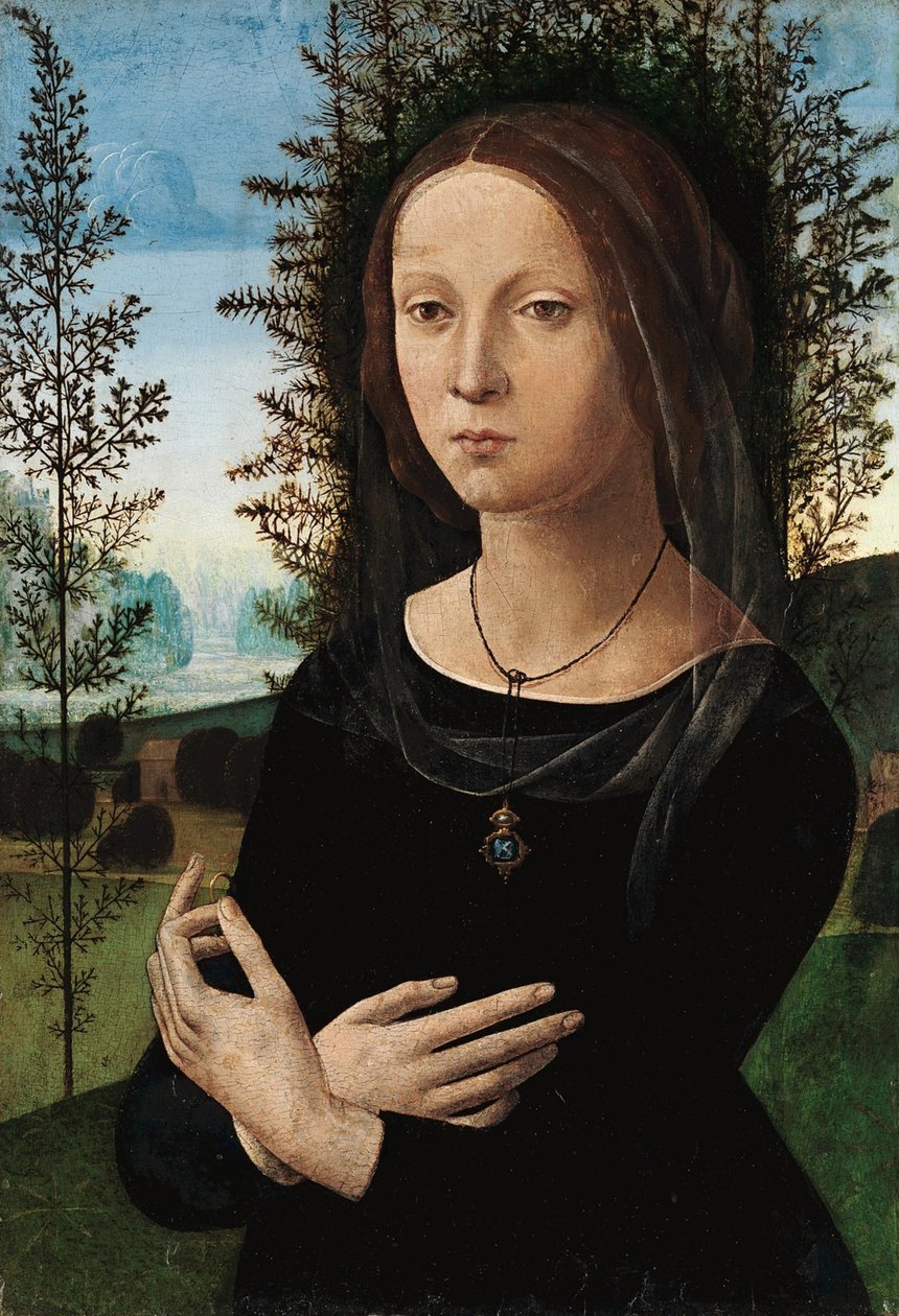 Portræt af en ung kvinde af Leonardo da Vinci