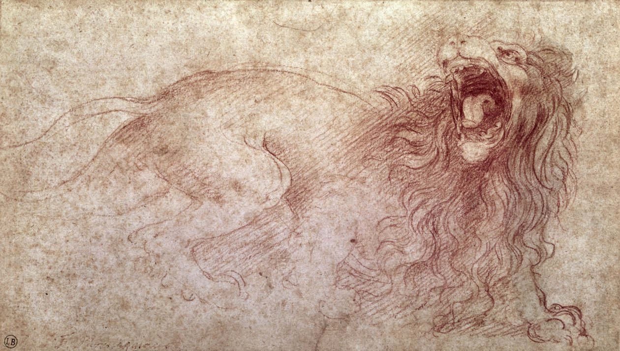 Skitse af en brølende løve (rødt kridt på papir) af Leonardo da Vinci