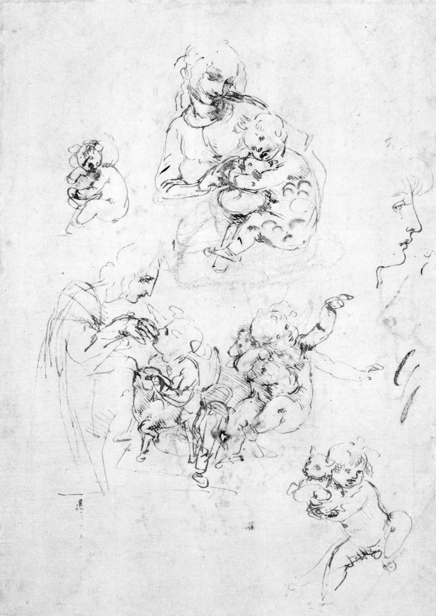Studier til en madonna med en kat, ca. 1478-80 (pen og blæk over sort kridt på papir) af Leonardo da Vinci
