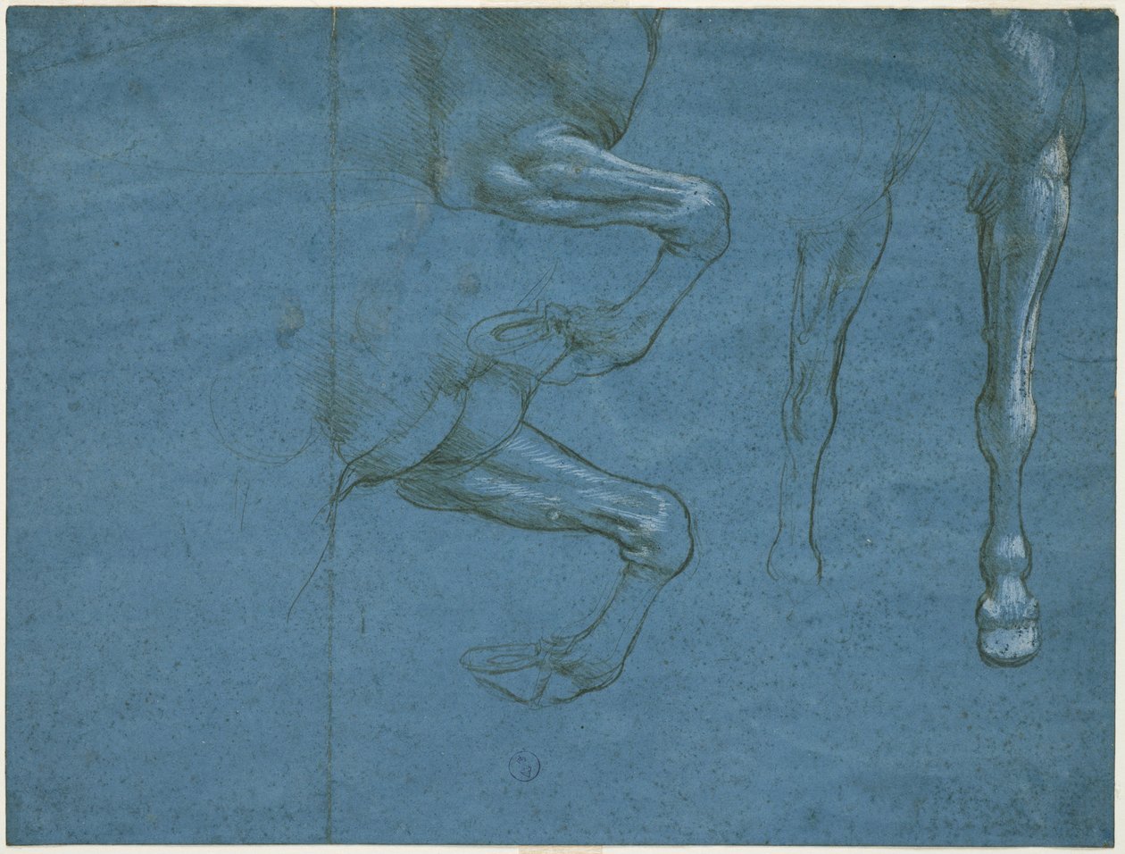 Studier af hestens forlemmer, ca. 1490 (metallisk spids og hvidvask på blåt forberedt papir) af Leonardo da Vinci