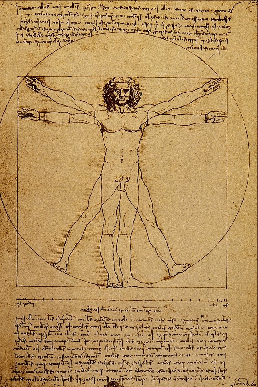 Undersøgelse af menneskekroppen af Leonardo da Vinci