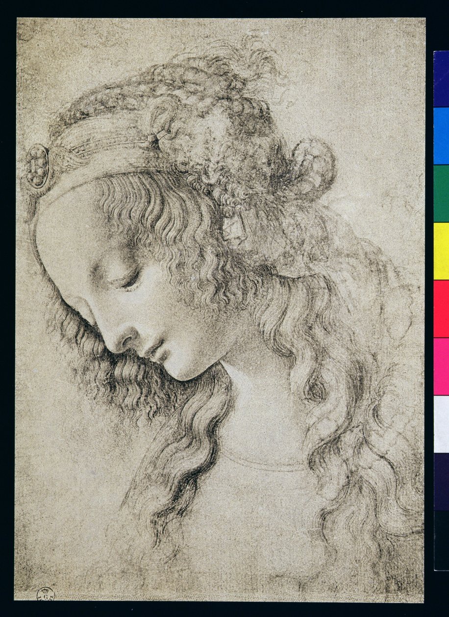 Studie til Maria Magdalenas hoved (kul på papir) af Leonardo da Vinci