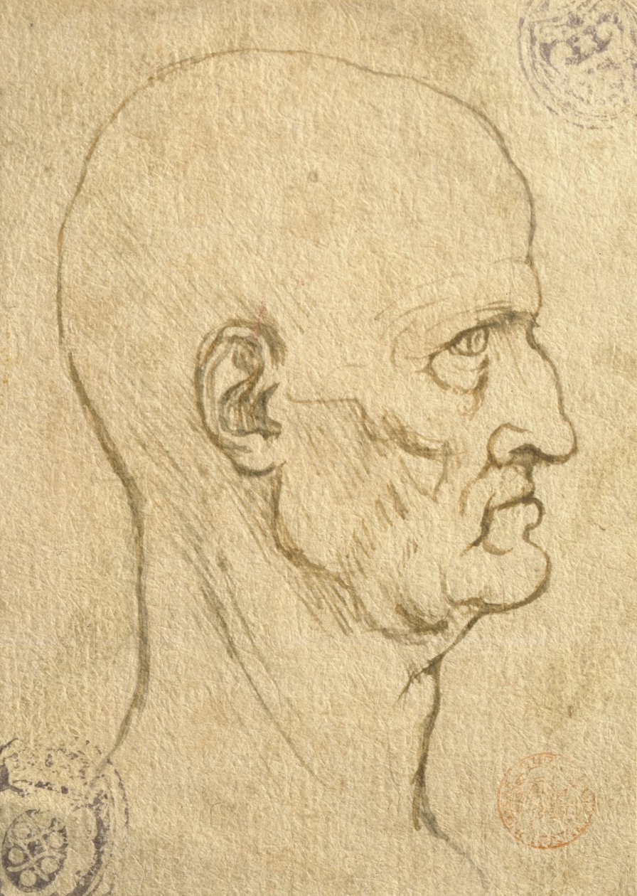Undersøgelse af menneskelige proportioner af Leonardo da Vinci