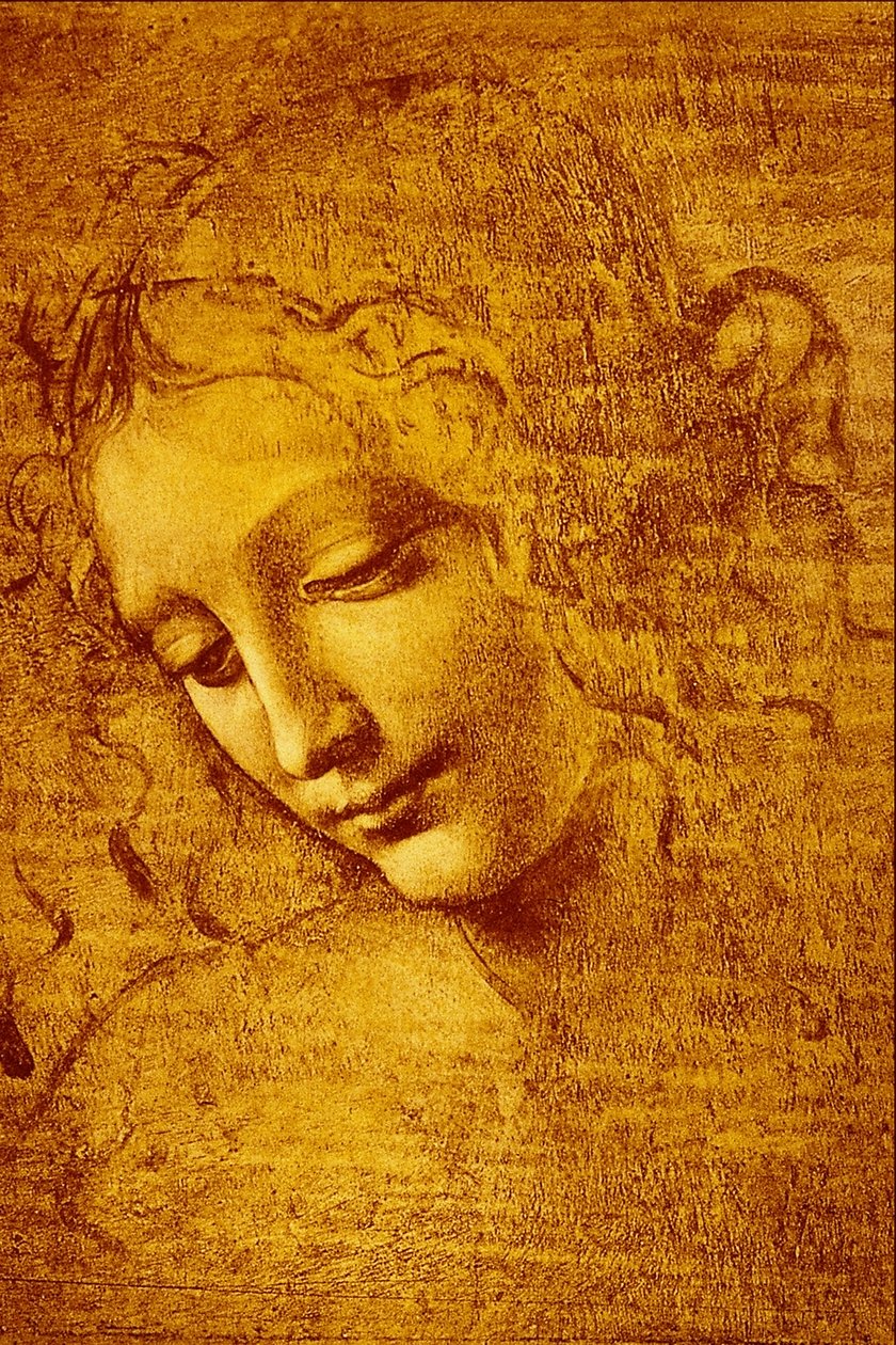 Leder af en pige kaldet The ... af Leonardo da Vinci