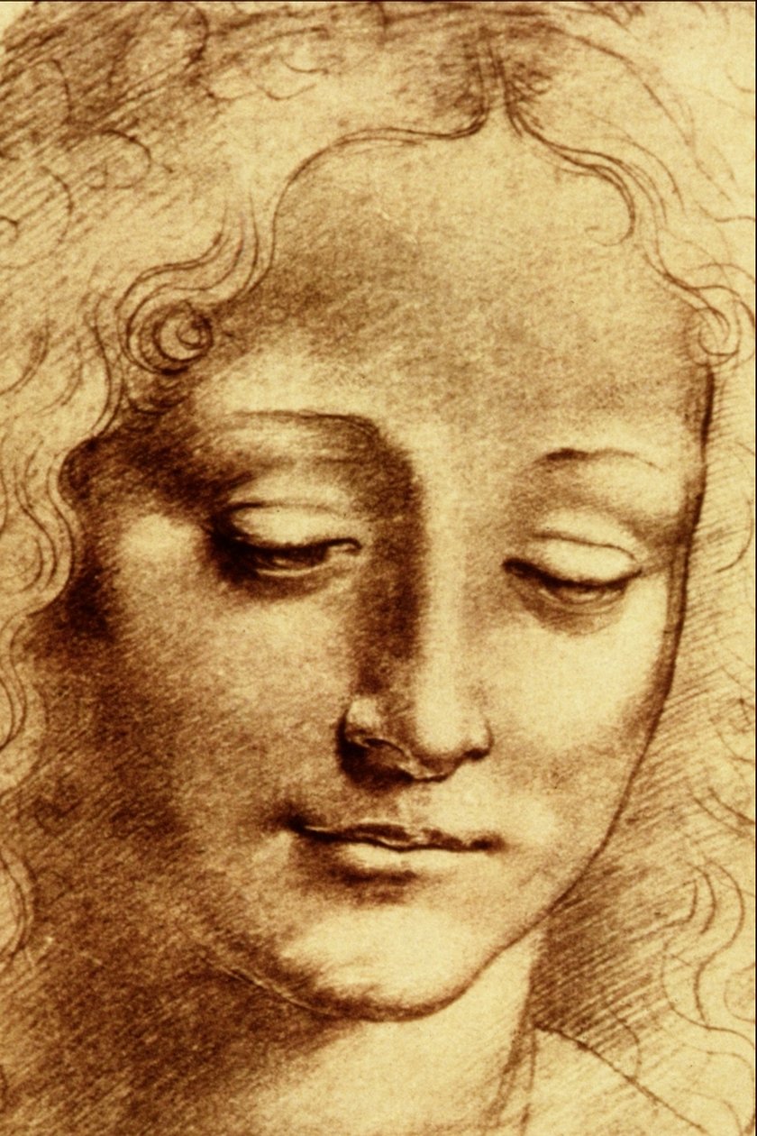 Hoveder af Giovinetta af Leonardo da Vinci