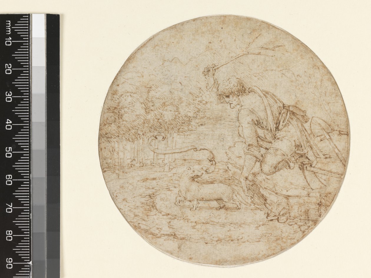 Hermelinen som et symbol på renhed, ca. 1494 (pen og brunt blæk over sort på papir) af Leonardo da Vinci